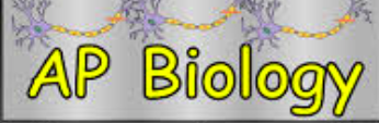 b b